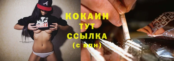 молекула духа Козловка
