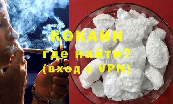 молекула духа Козловка