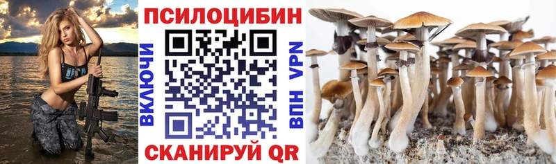 Псилоцибиновые грибы MAGIC MUSHROOMS  Усолье-Сибирское 
